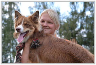 border collie speedy dream