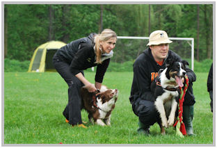 border collie speedy dream