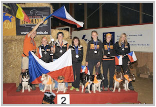 border collie speedy dream