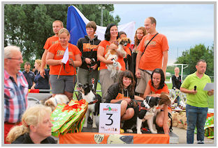 border collie speedy dream