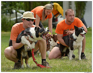 border collie speedy dream