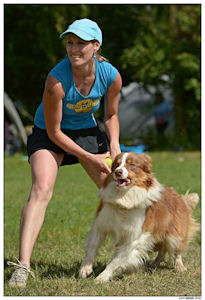 border collie speedy dream