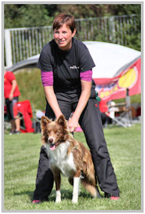 border collie speedy dream