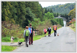 border collie speedy dream