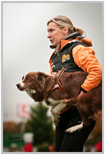 border collie speedy dream